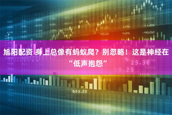旭阳配资 身上总像有蚂蚁爬？别忽略！这是神经在 “低声抱怨”
