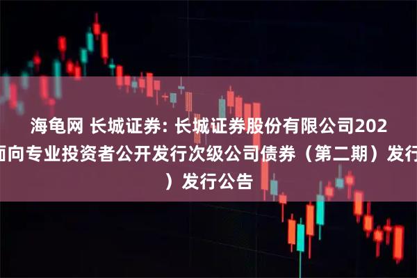 海龟网 长城证券: 长城证券股份有限公司2025年面向专业投资者公开发行次级公司债券（第二期）发行公告