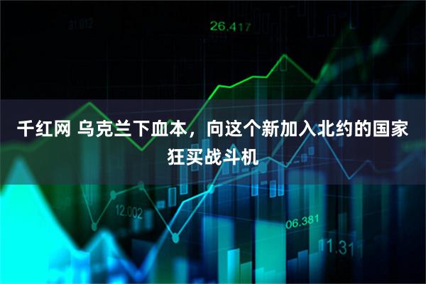 千红网 乌克兰下血本，向这个新加入北约的国家狂买战斗机