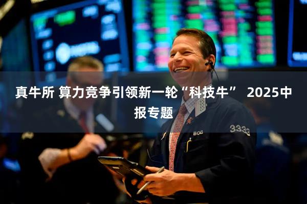 真牛所 算力竞争引领新一轮“科技牛”  2025中报专题